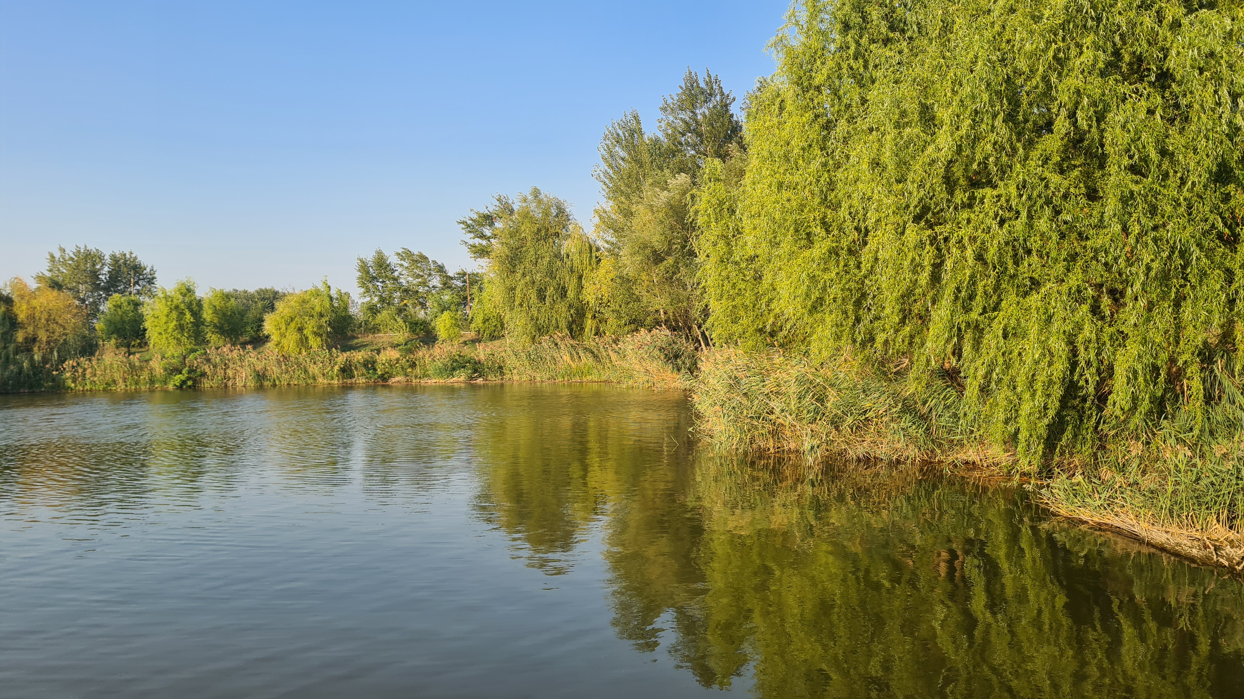 „Delta Dunării” de pe Siret. Satul de vacanță de 82 de hectare, cu zoo, pescuit sportiv și kilometri de canale unde te poți plimba cu barca