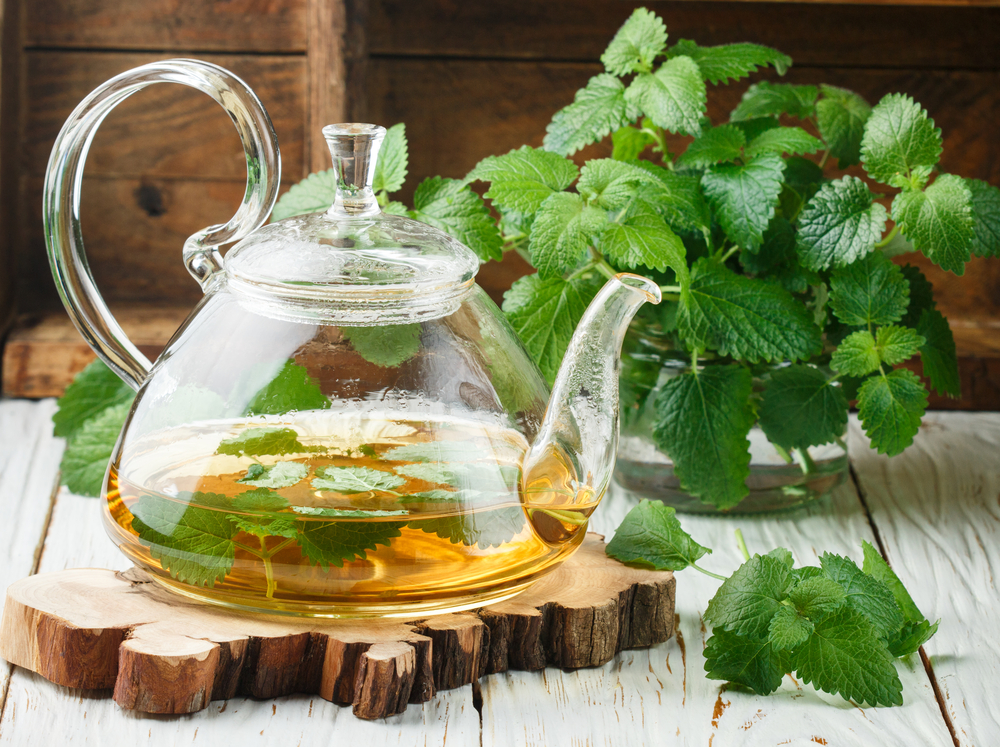 Roiniță - cum se utilizează cea mai cunoscută plantă medicinală recomandată pentru insomnii