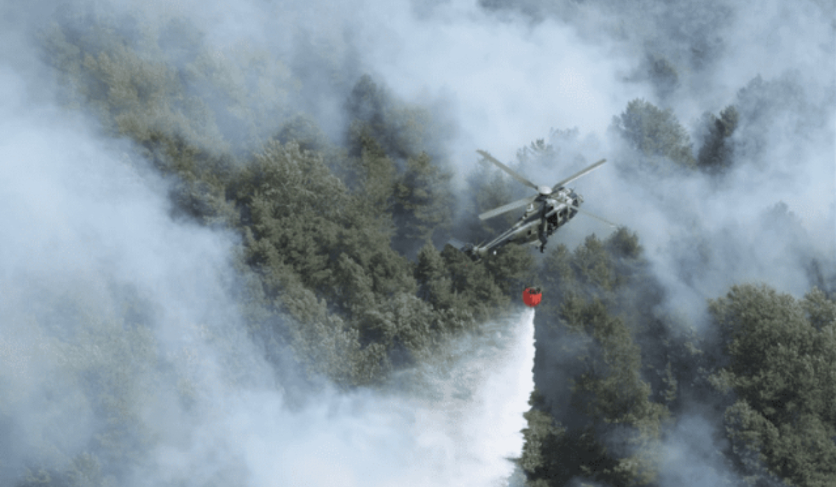 Pompierii români luptă cu flăcările în Serbia. Linia de protecție de 1.000 de metri întinsă pentru oprirea incendiilor