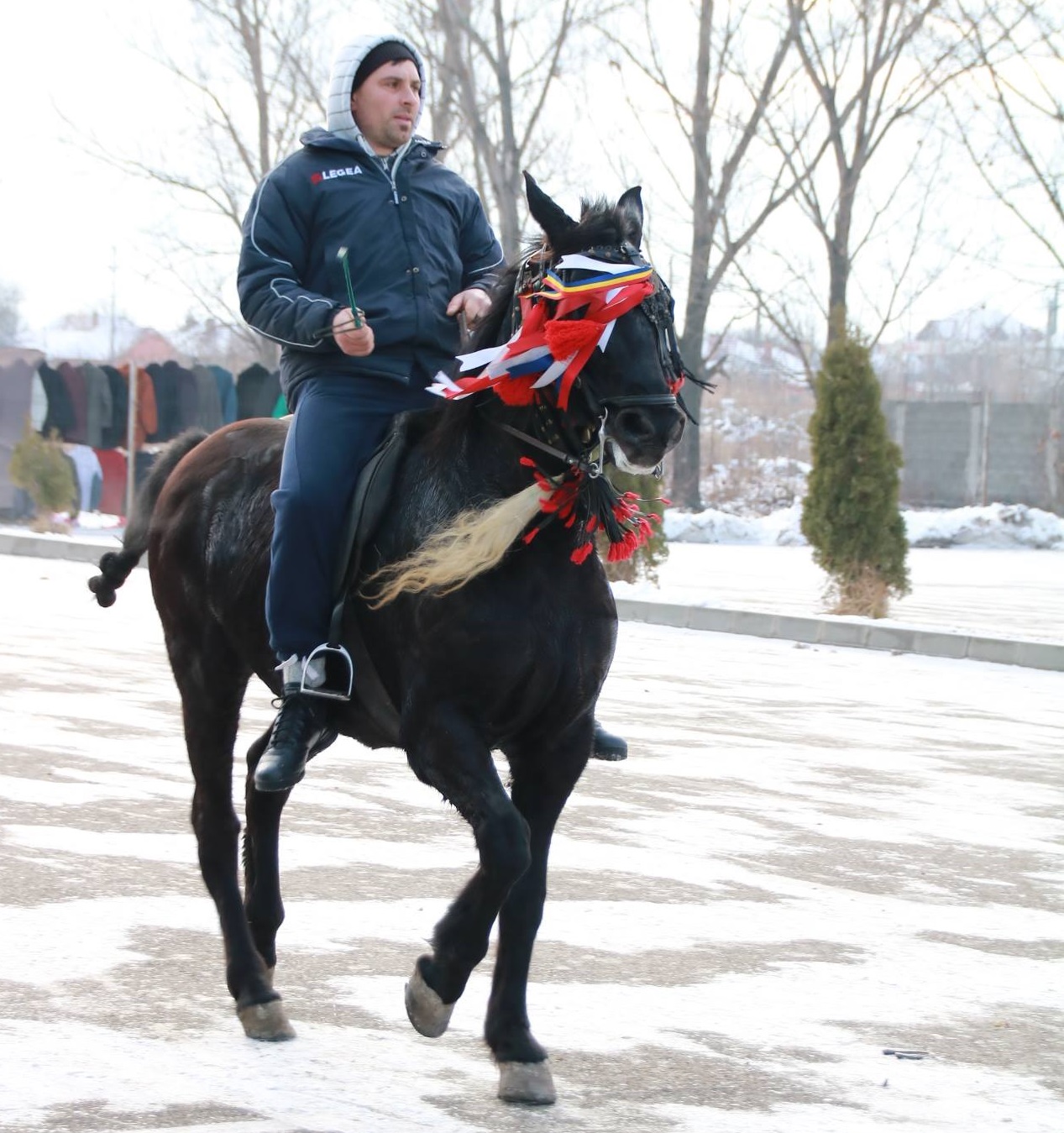 REPORTAJ: Localnicii din orașul lui Nea Mărin şi-au botezat caii pentru a-i feri de boli. Imagini superbe cu cei mai frumoși cai/ GALERIE FOTO