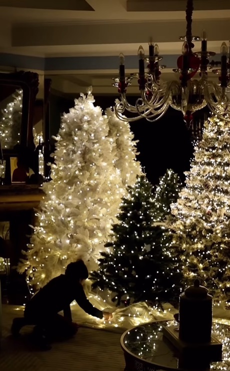Imagini din sufrageria Annei Lesko, decorată de Crăciun. Are cinci brazi în living, pe care nu i-a împodobit cu globuri