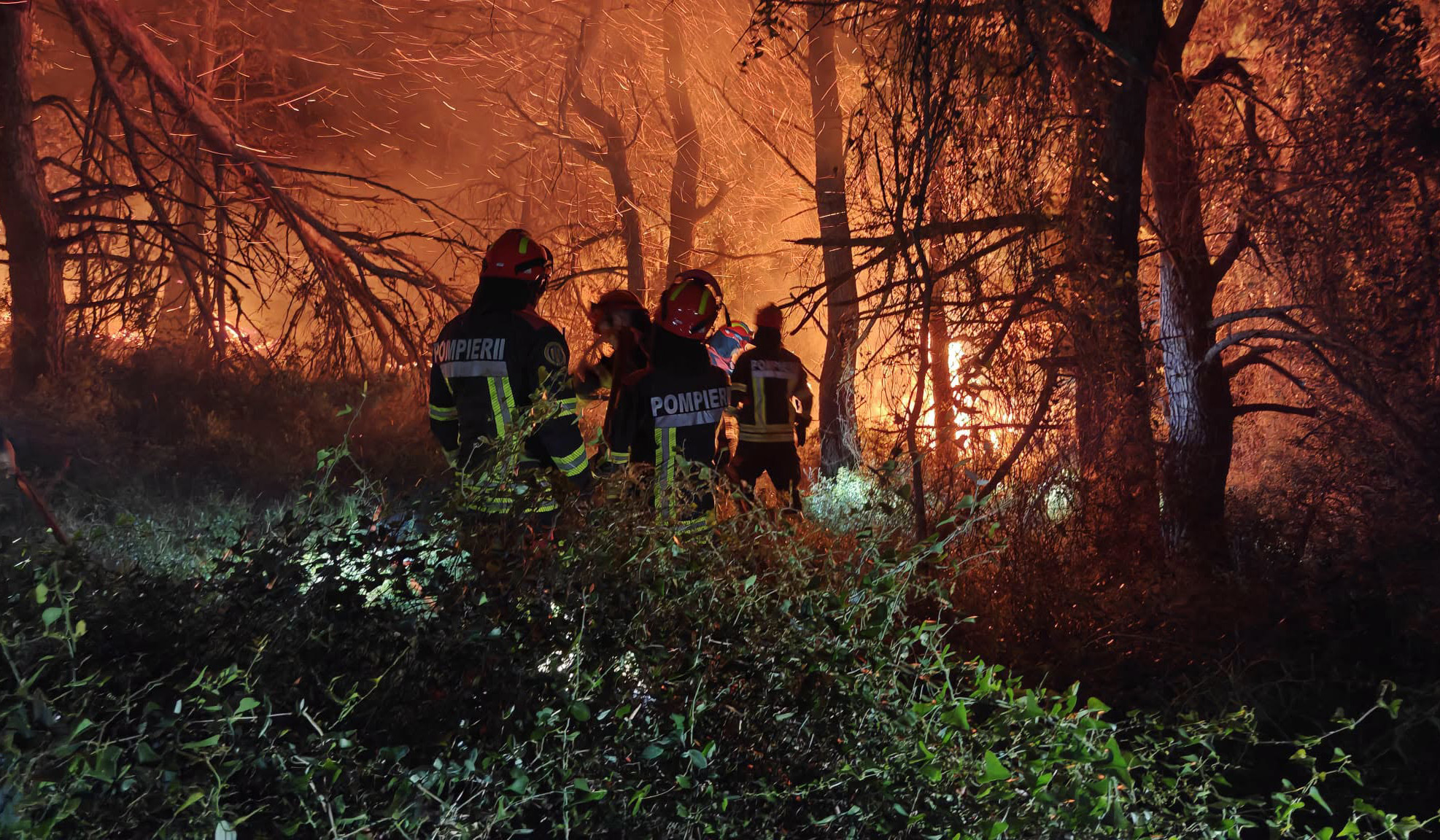 Peste 1.000 de hectare, făcute scrum de incendii violente, lângă Marsilia. Flăcările uriașe continuă să înghită teren