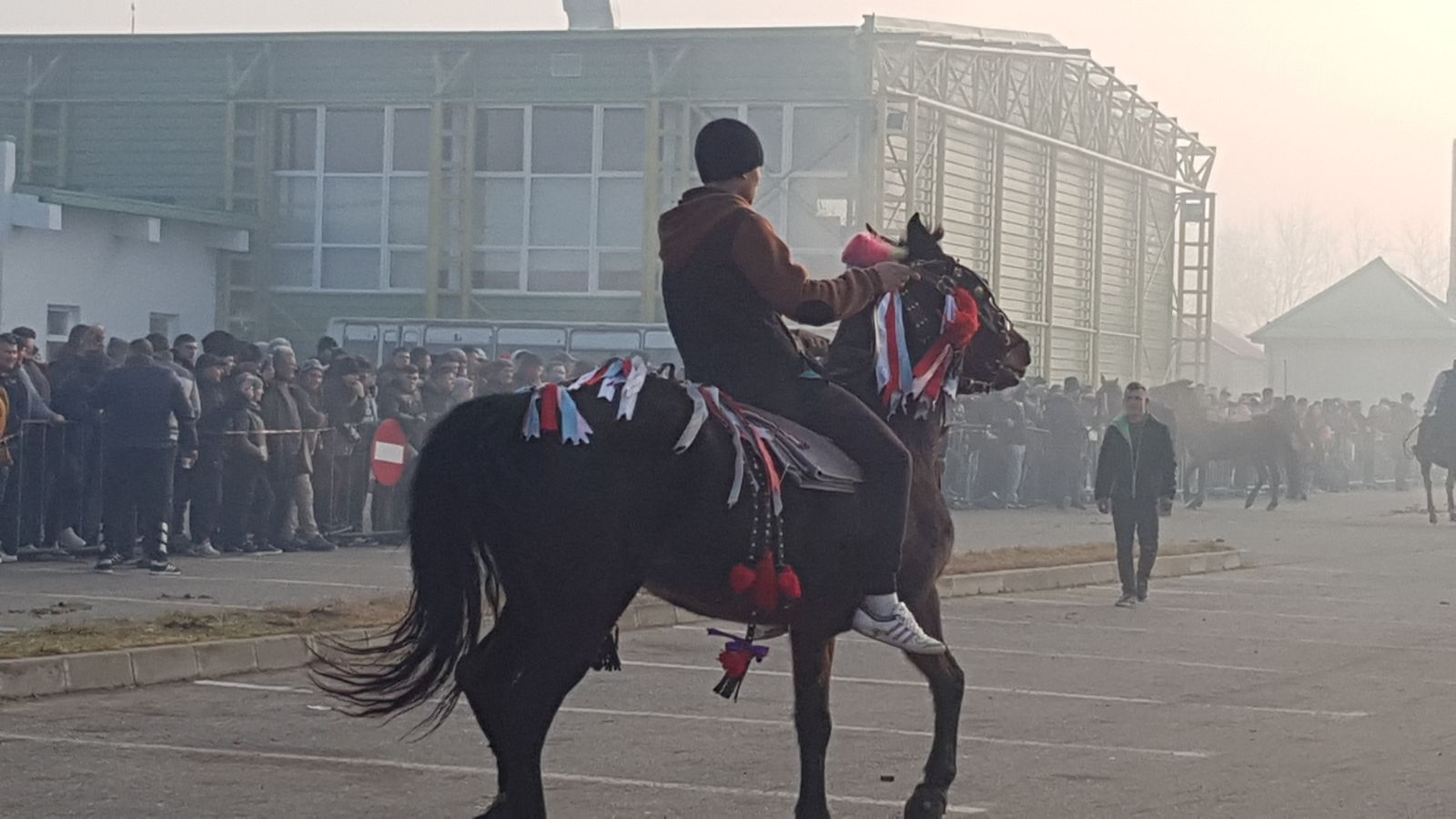 REPORTAJ: De Bobotează, caii din orașul lui Nea Mărin au fost stropiți cu agheasmă ca să nu se prindă blestemele de ei| FOTO