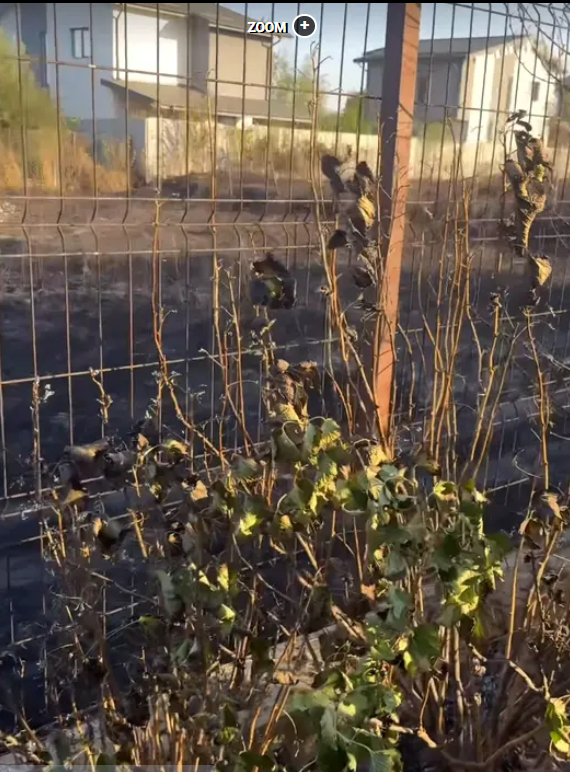 Clipe de panică pentru Ioana Ginghină. „La un pas să luăm astăzi foc din cauza unui vecin inconștient”