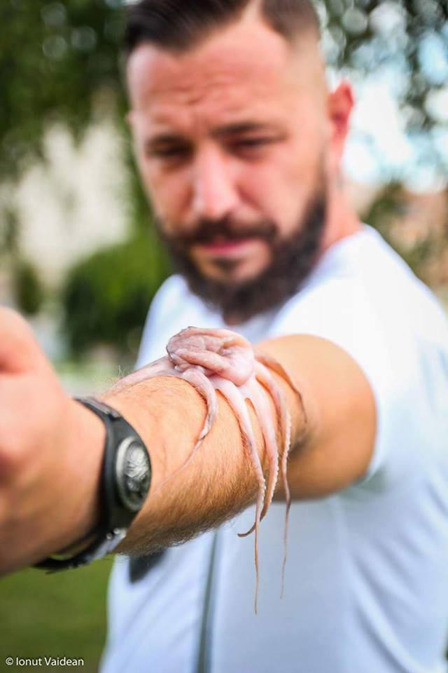 EXCLUSIV REPORTAJ/ Fashion Food la Alba Iulia: Un bucătar excentric face haine și accesorii din alimente. Spectatorii pot mânca direct de pe modele!/ VIDEO