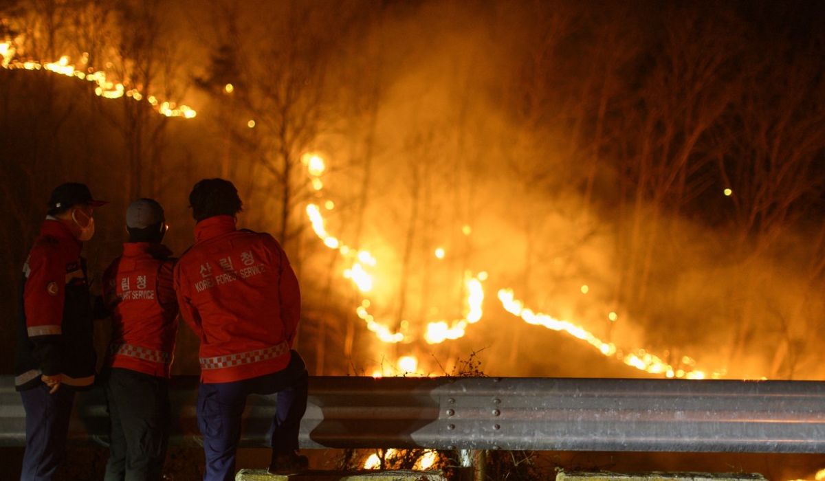 26 de morți și zeci de mii de strămutați, în cele mai mari incendii din istoria Coreei de Sud