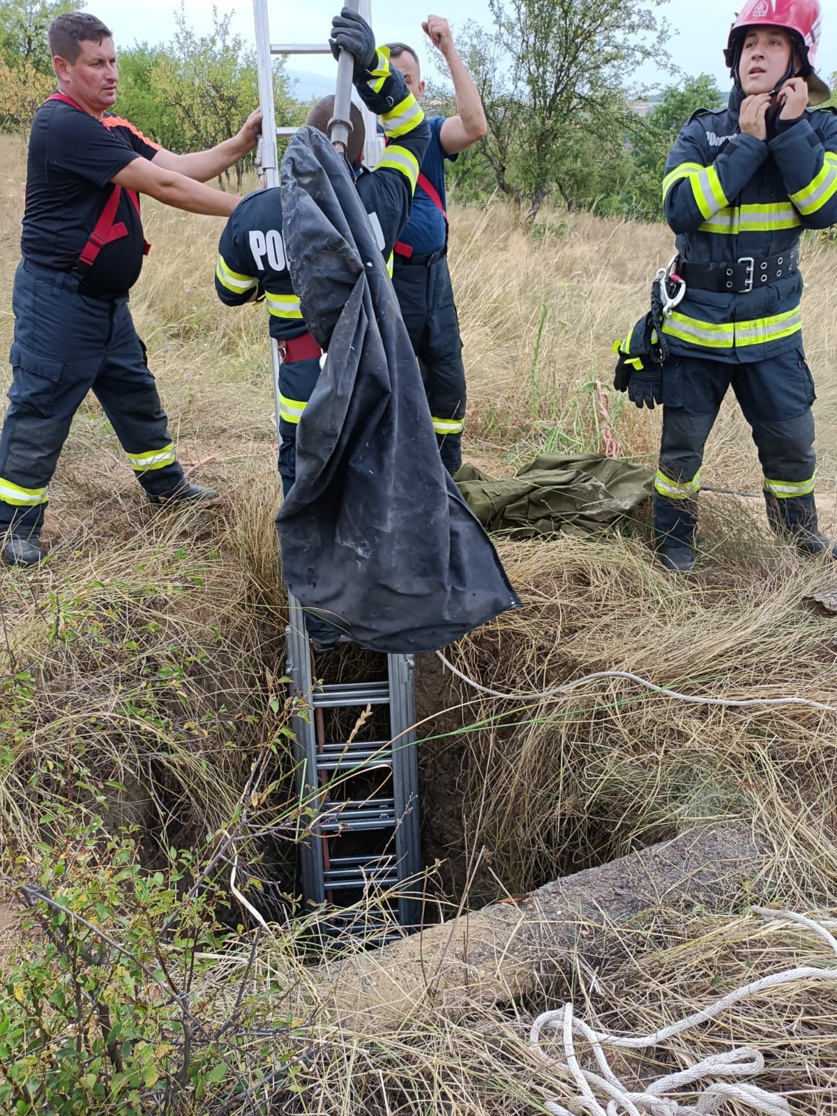 Misiune de salvare a unei vulpi care a căzut într-o fântână, în Orăştie. Şase pompieri s-au mobilizat