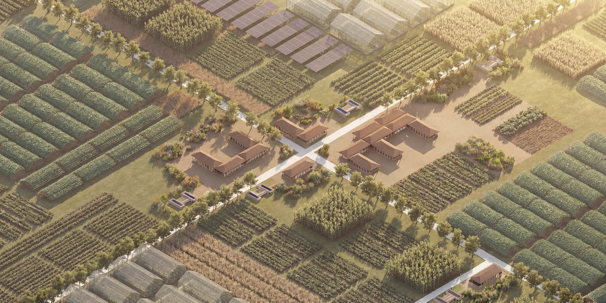 Țara în care se va construi un „oraș agricol” de la zero: Va avea 5 milioane de metri pătrați și 13.000 de locuitori