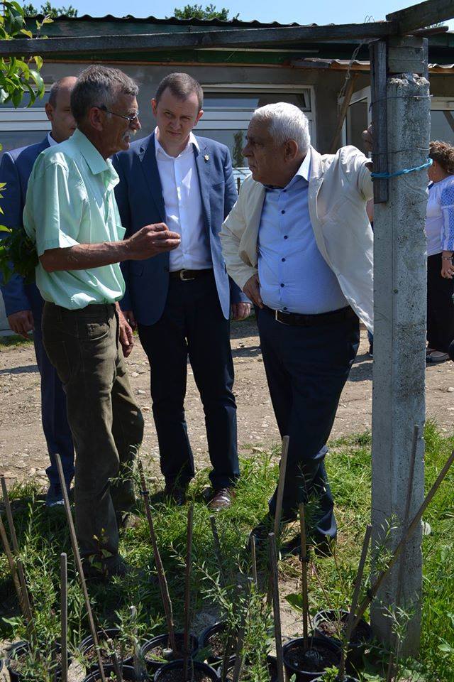 Cea mai mare cultură bio de goji din România, o investiție unică în Europa, riscă să fie distrusă - FOTO