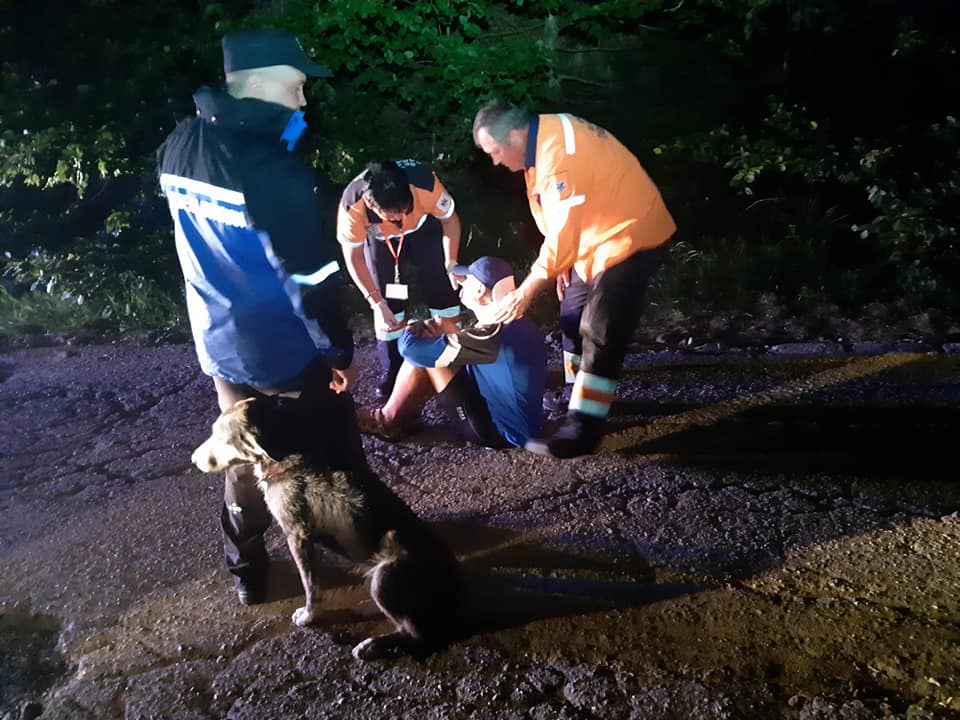 Biciclist accidentat în Munții Semenic, salvat de un câine. Animalul i-a încălzit corpul, până la sosirea jandarmilor