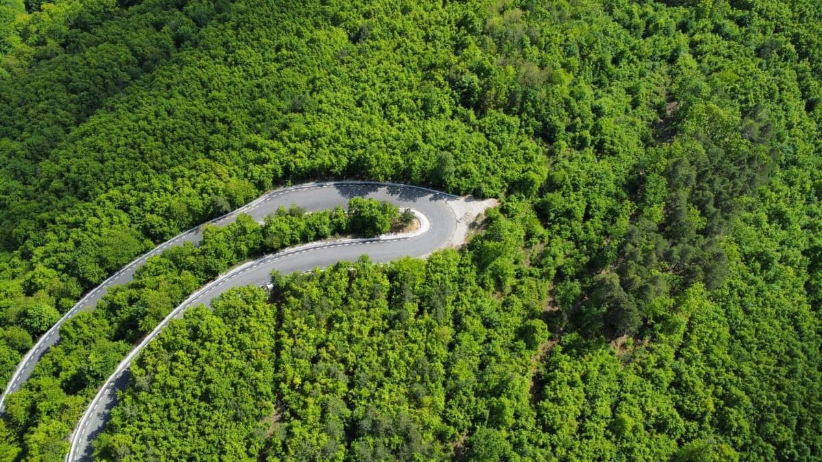 Transapuseana, drumul care scoate din izolare una dintre cele mai frumoase zone ale României. „În 30 de minute ești în mijlocul unui peisaj sălbatic”