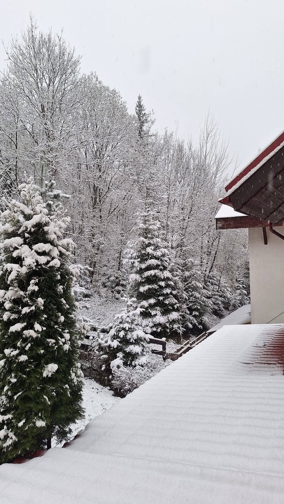 Strat de zăpadă în mai multe orașe montane, cu o zi înainte de minivacanța de 1 Mai. Zonele afectate de ninsoare și ger