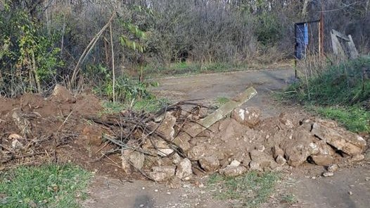 Szörnyű: 50 kutya került veszélybe, ellehetetleníti egy menhely működését a terület tulajdonosa Gombán