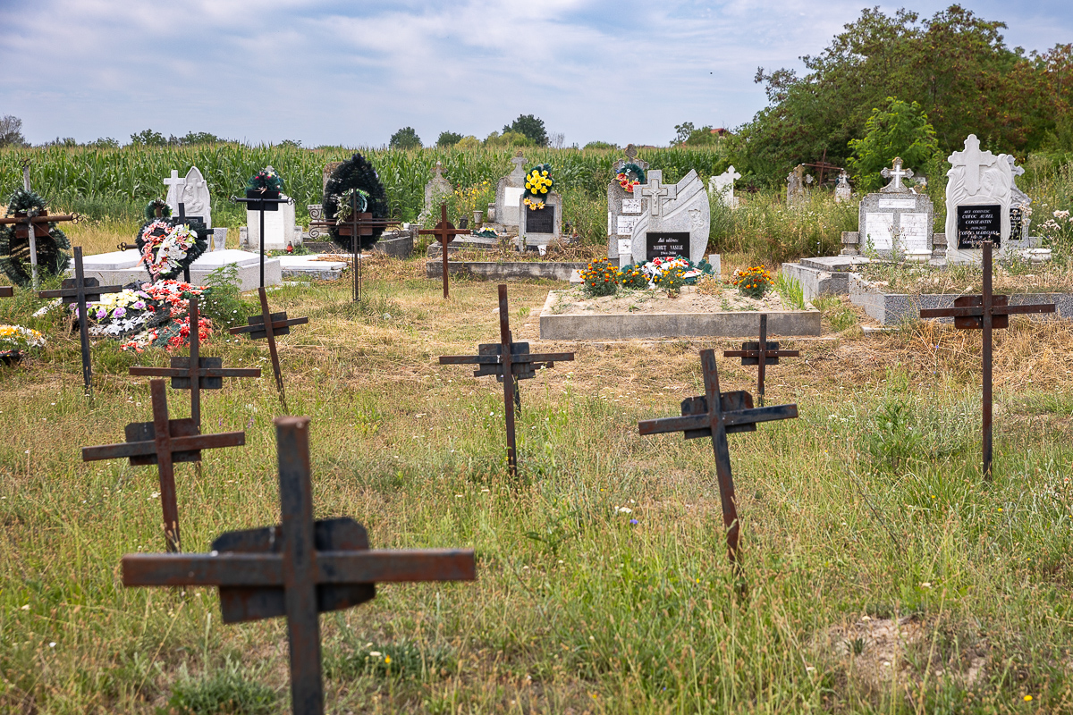 Cimitirul cu necunoscuți din Dumbrava. Viorel Pașca: „Toată lumea, indiferent de religie, are cruce la fel. Ca să nu se supere niciunul”