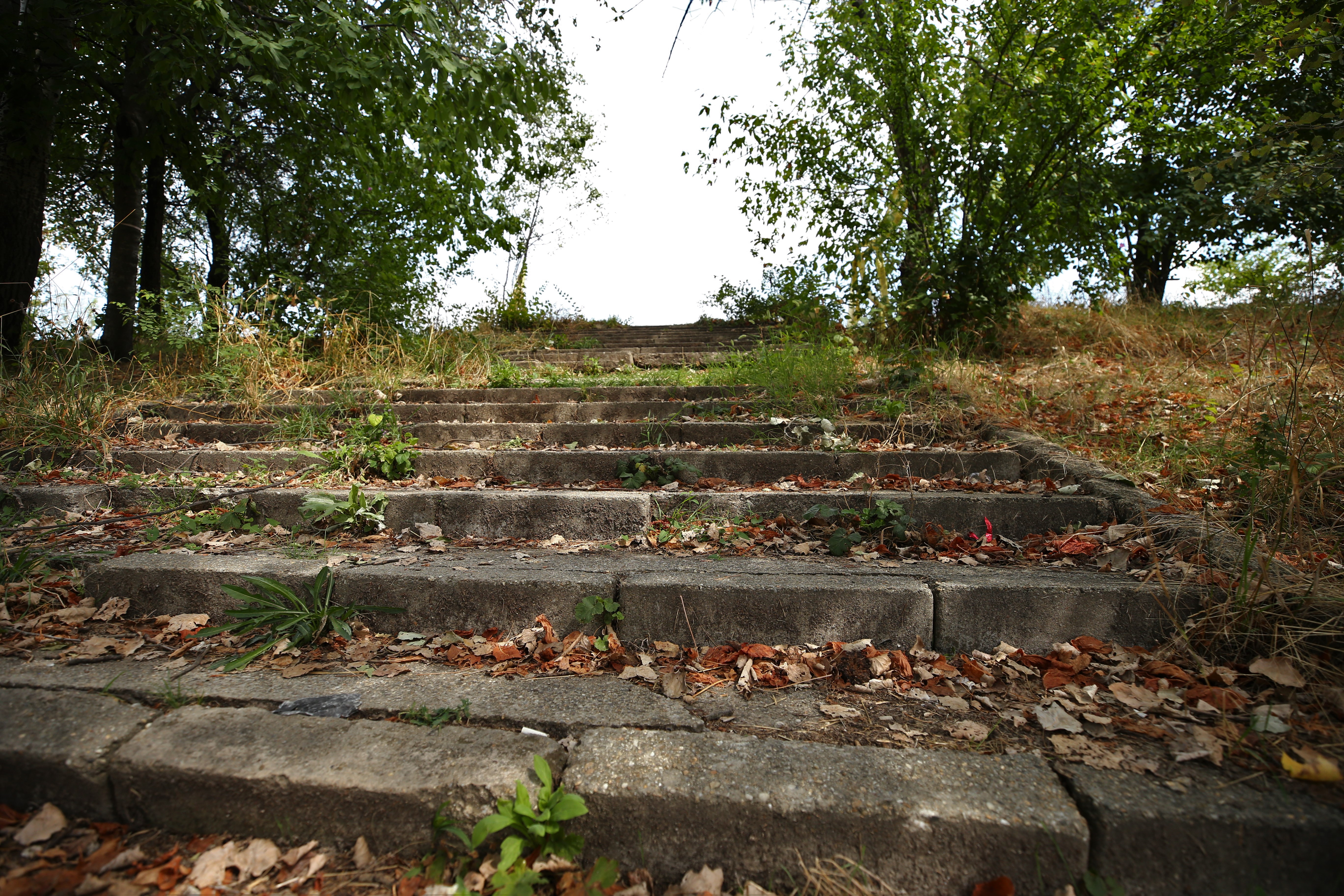Cum ajunge un parc să nu mai aparțină cetățenilor. Cazul Grozăvești, împărțit între SRI și investitori imobiliari apropiați unui fost primar PDL