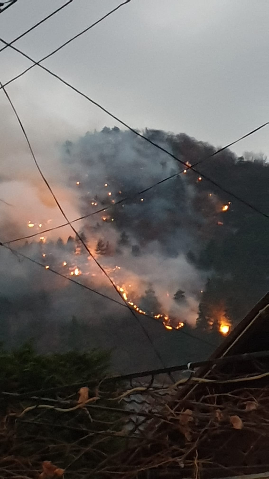 Pădurea de la Oituz arde de cinci zile. Incendiul s-a extins pe 28 de hectare