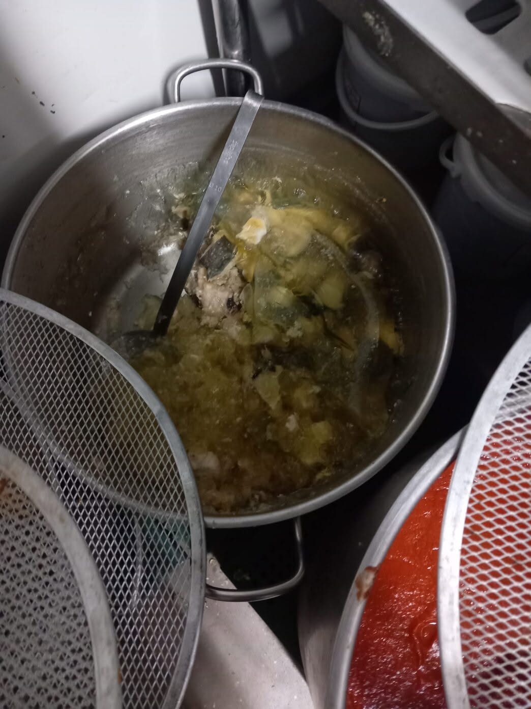Amendă de 10.000 de lei și 94 kg de alimente retrase de la restaurantul Golful Pescarilor, de lângă Constanța. De ce au închis inspectorii localul | VIDEO