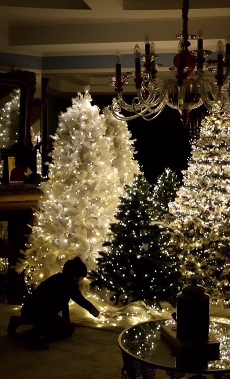 Imagini din sufrageria Annei Lesko, decorată de Crăciun. Are cinci brazi în living, pe care nu i-a împodobit cu globuri