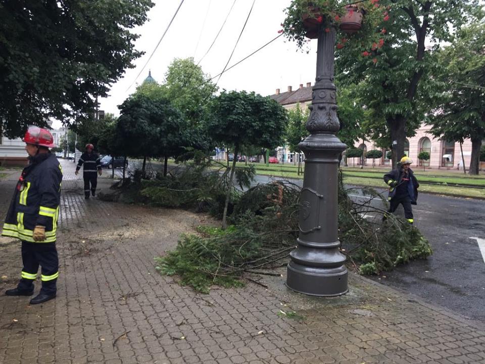 FOTO / Acoperişuri smulse şi copaci doborâţi de vânt, la Arad. S-a înregistrat și un deces