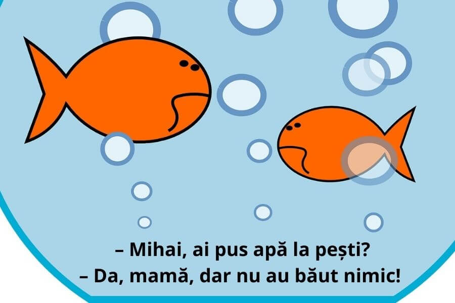 Bancuri pentru copii. Glume bune cu și despre copii