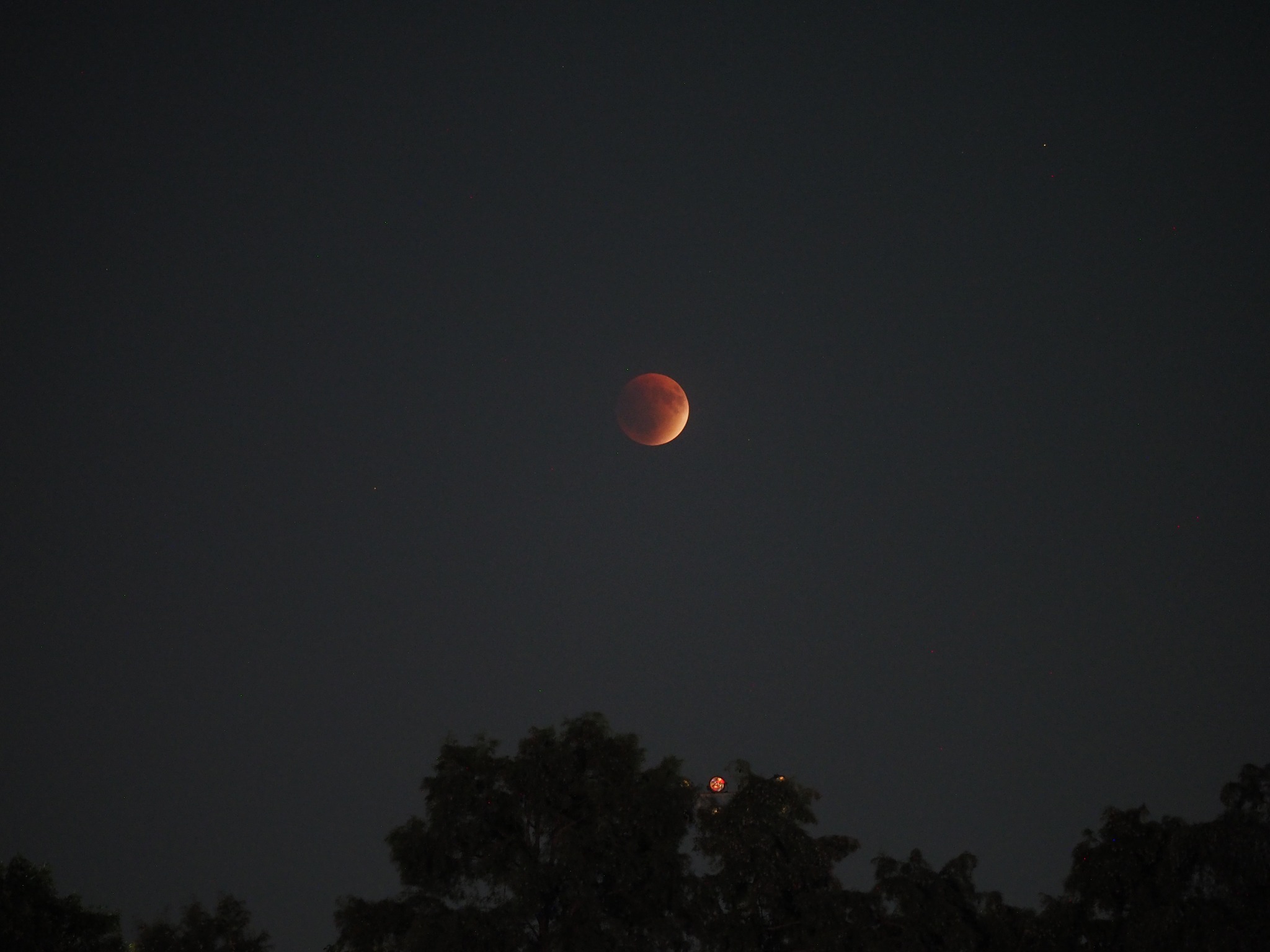Cum a fost surprinsă „Luna sângerie” pe cerul României: imagini cu eclipsa totală