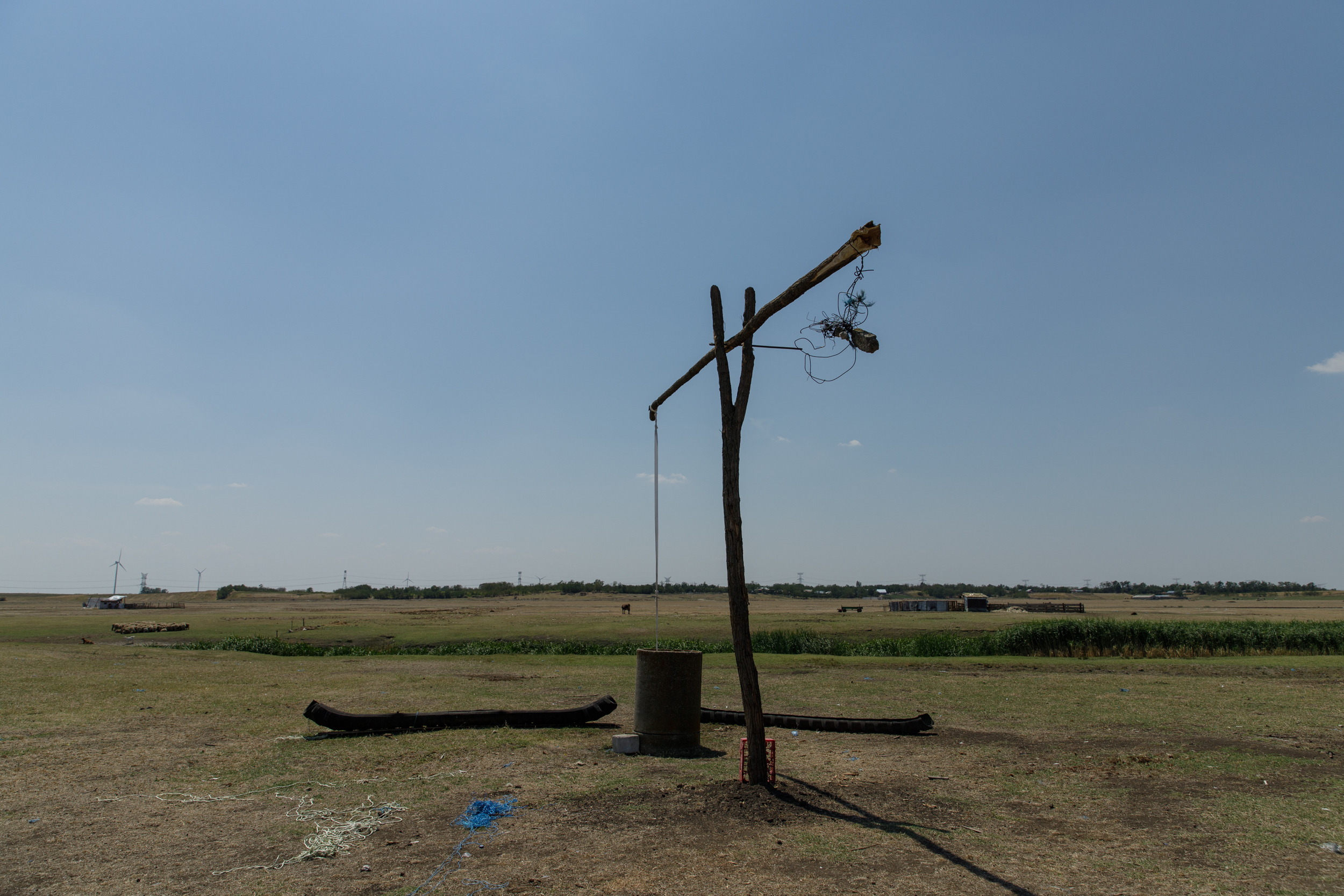 FOTOREPORTAJ Cum arată seceta într-o comună cu finanţări de jumătate de milion de euro pentru agricultori: după subvenţii, deşertul