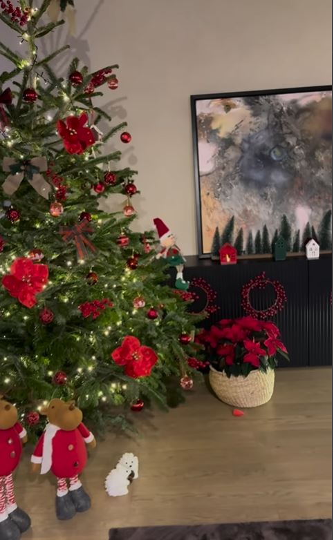 Cum arată casa Adelei Popescu și a lui Radu Vâlcan, după ce a fost decorată de Crăciun: „Am împodobit bradul”