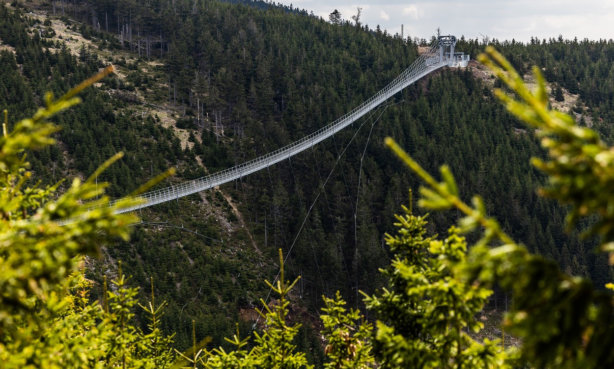 Cel mai lung pod pietonal suspendat din lume, inaugurat în Cehia. Cât costă traversarea lui