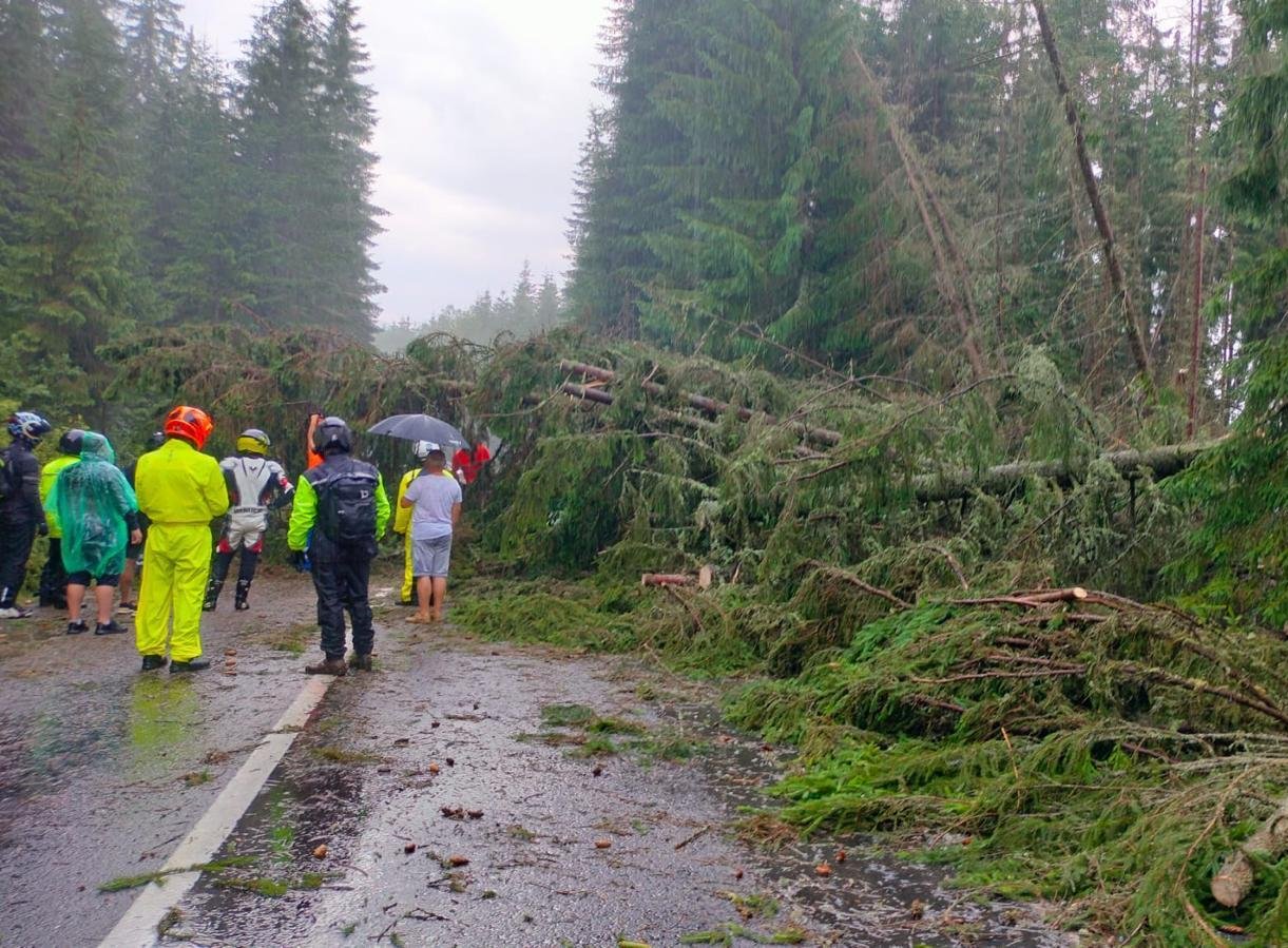 Zeci de mașini blocate pe Transalpina, după ce mai mulți copaci au căzut pe drum, în urma unei furtuni