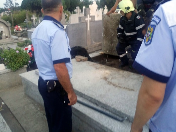 Un câine a fost îngropat de viu intenționat într-un cavou din cimitir. Explicația uluitoare a groparilor, care și-au recunoscut fapta