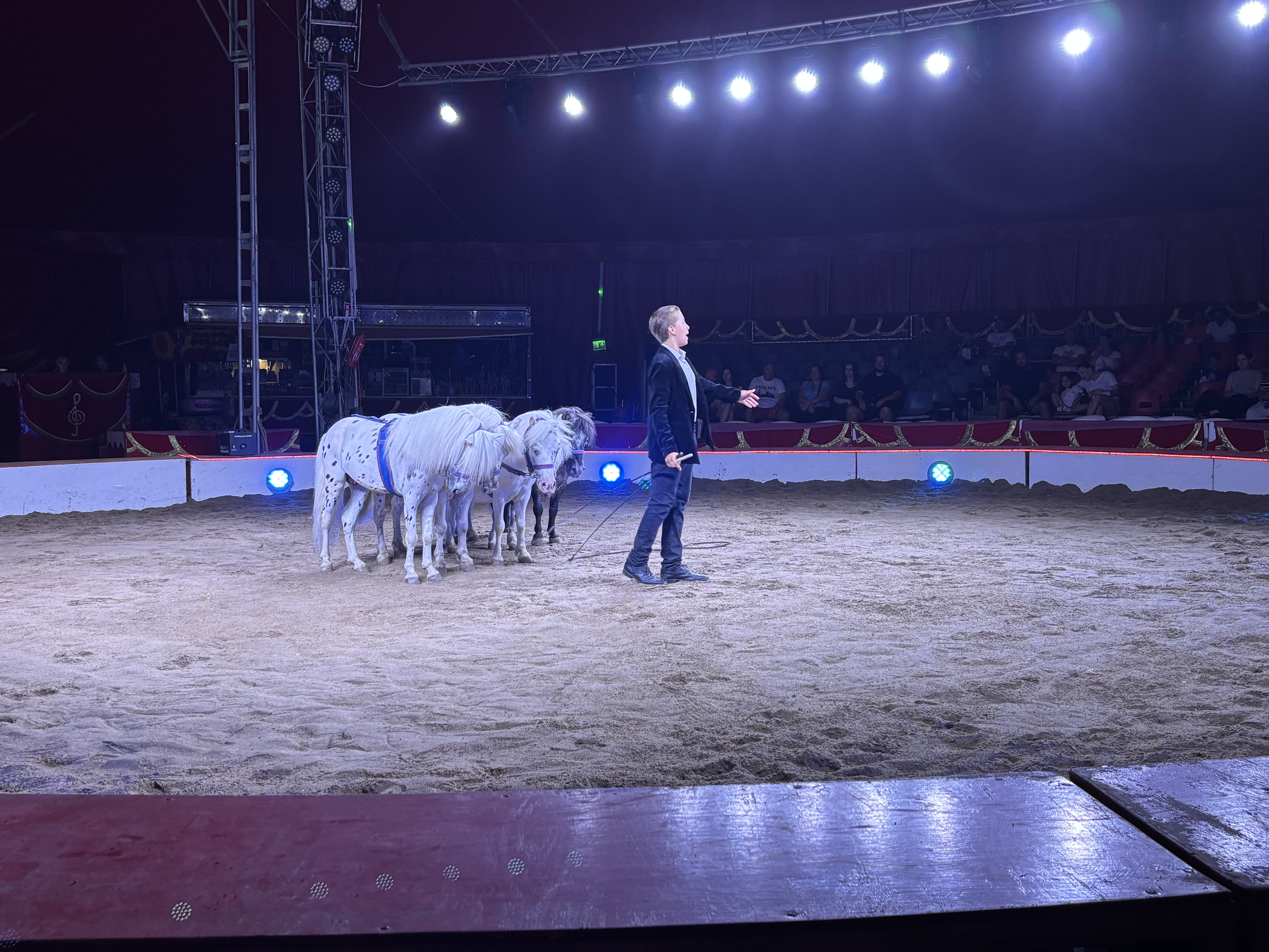 Din nou la Circ. Râzi cu Clovnul, te amuzi cu cai și papagali. Ți se taie răsuflarea cu acrobați. Nimic nu se compară cu Globul Morții