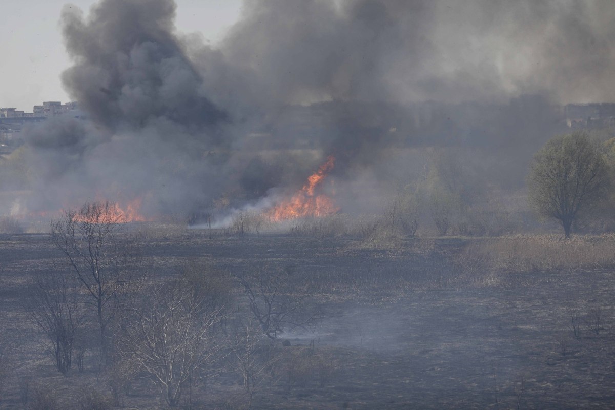 Incendiul din Delta Văcărești, stins după două ore. Ce suprafață a fost afectată