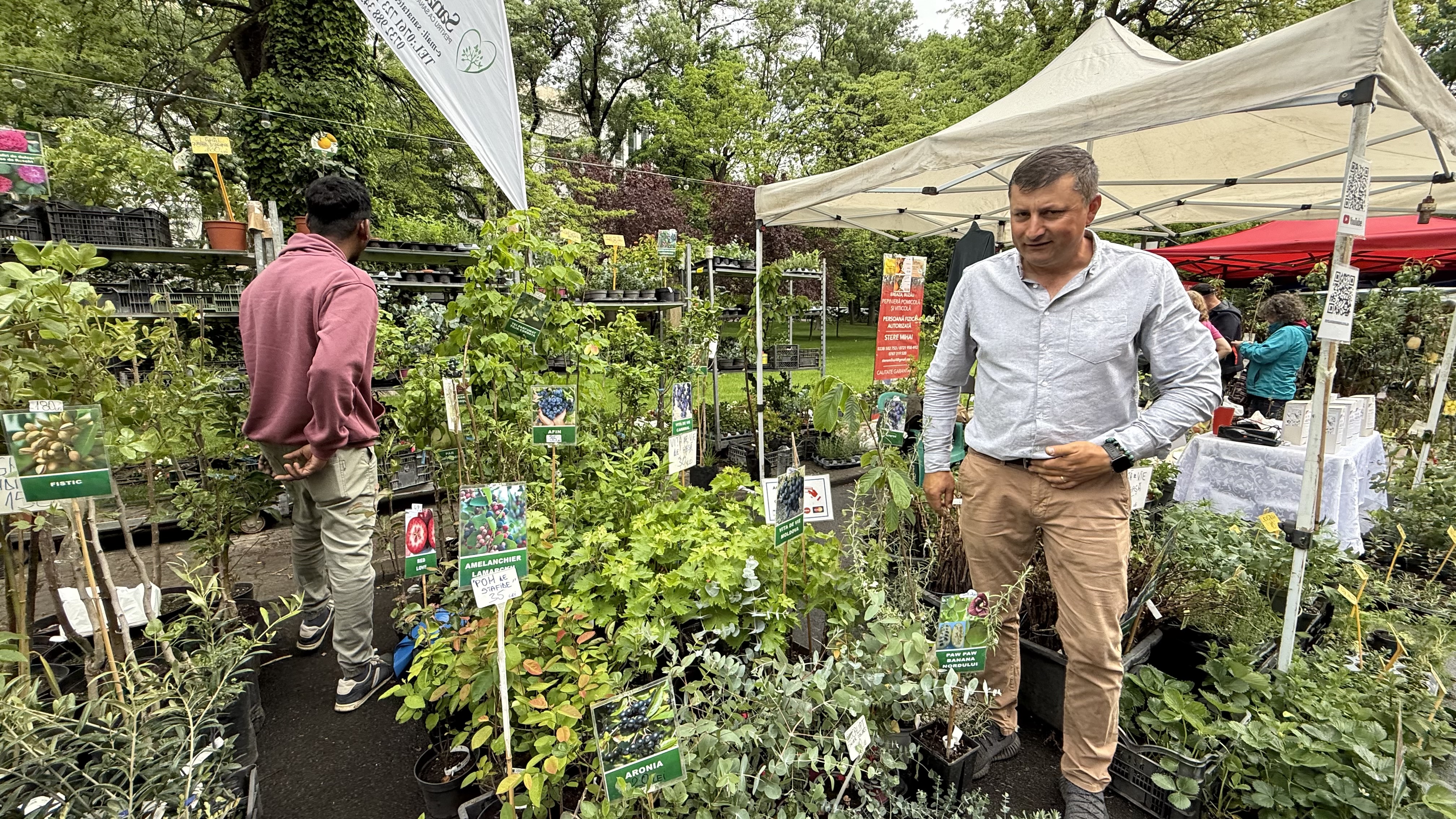 Explozie de flori și fructe exotice la Agronomie. Cât au plătit oamenii pentru „Mâna lui Buddha” „Banana Nordului” și smochinul mov
