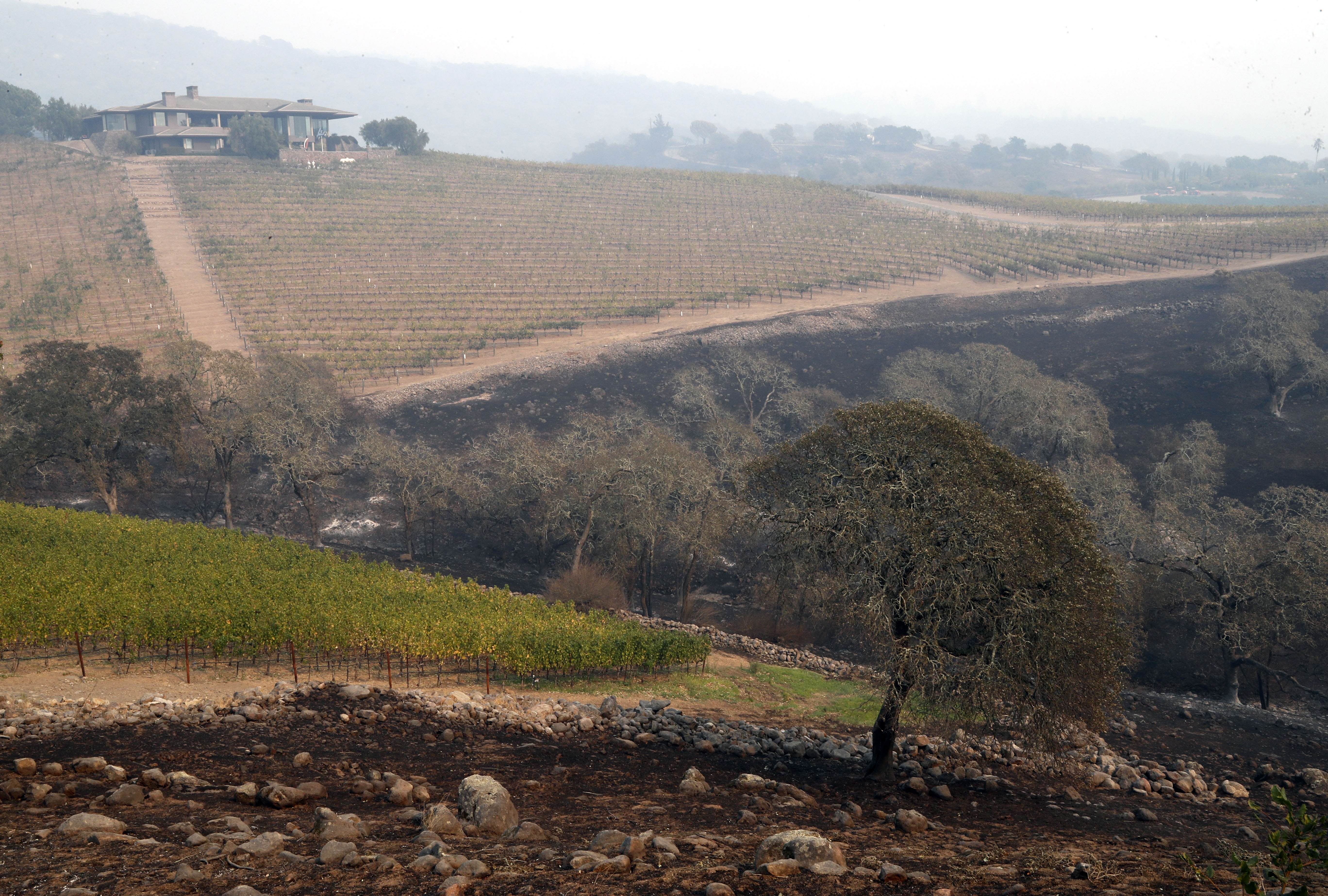 GALERIE FOTO| Incendii devastatoare în California. Cel puțin 23 de persoane au murit, mii de case și terenuri au fost distruse de foc