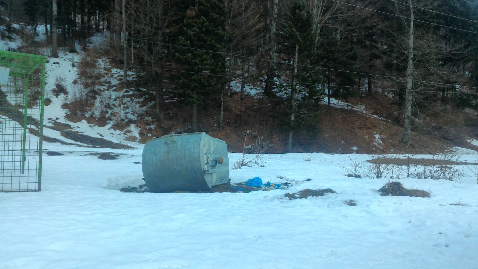 REPORTAJ/ Camping pe Valea Cerbului, în plină iarnă. Împătimiții muntelui nu se lasă descurajați nici de frig, nici de gunoaie/VIDEO