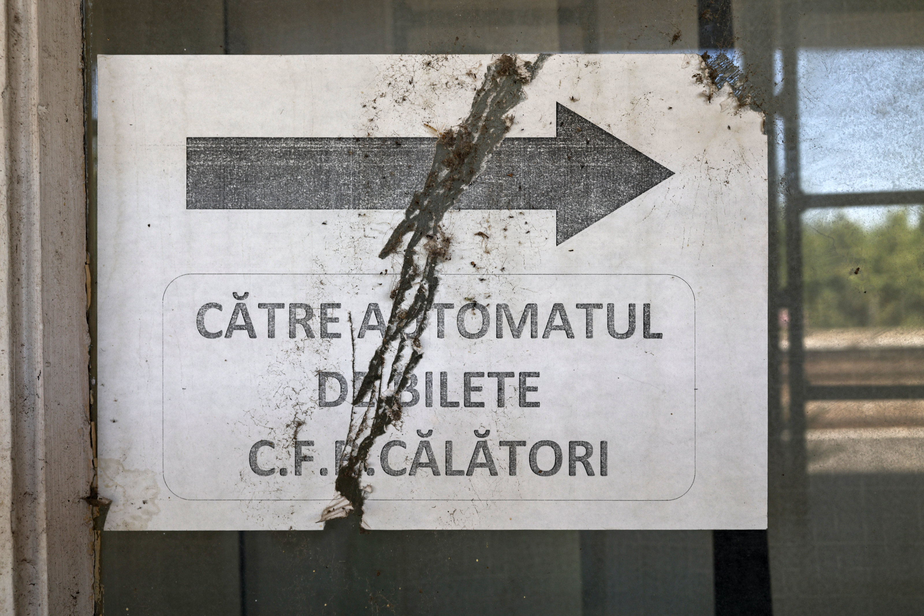 Între gloria regală și dezastrul de azi. Locul pe unde au trecut regii României a ajuns o haltă aproape pustie și distrusă de graffiti