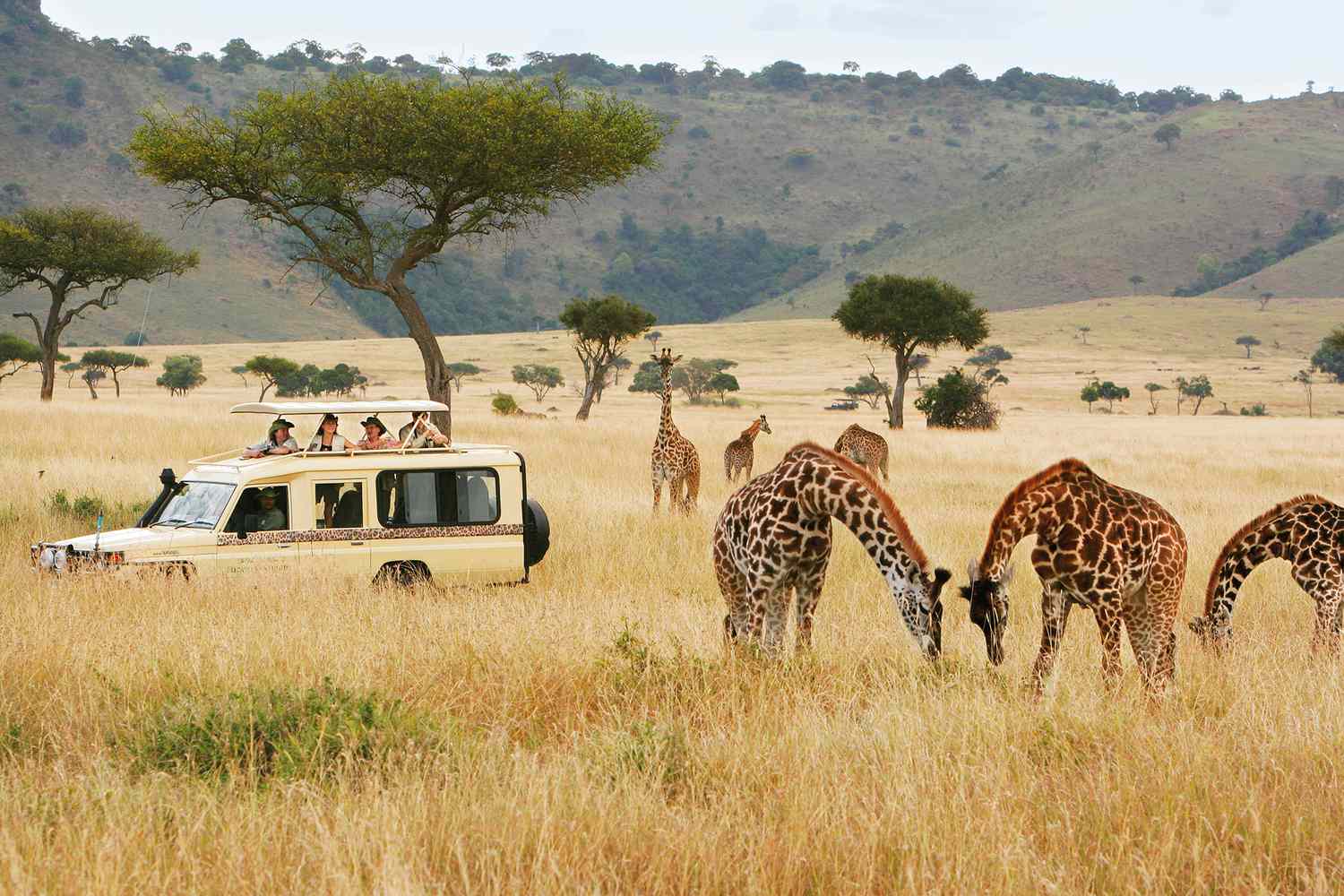 Kenya’s economy is set for a $4.3 billion boost in 2025 from one of its chief industries