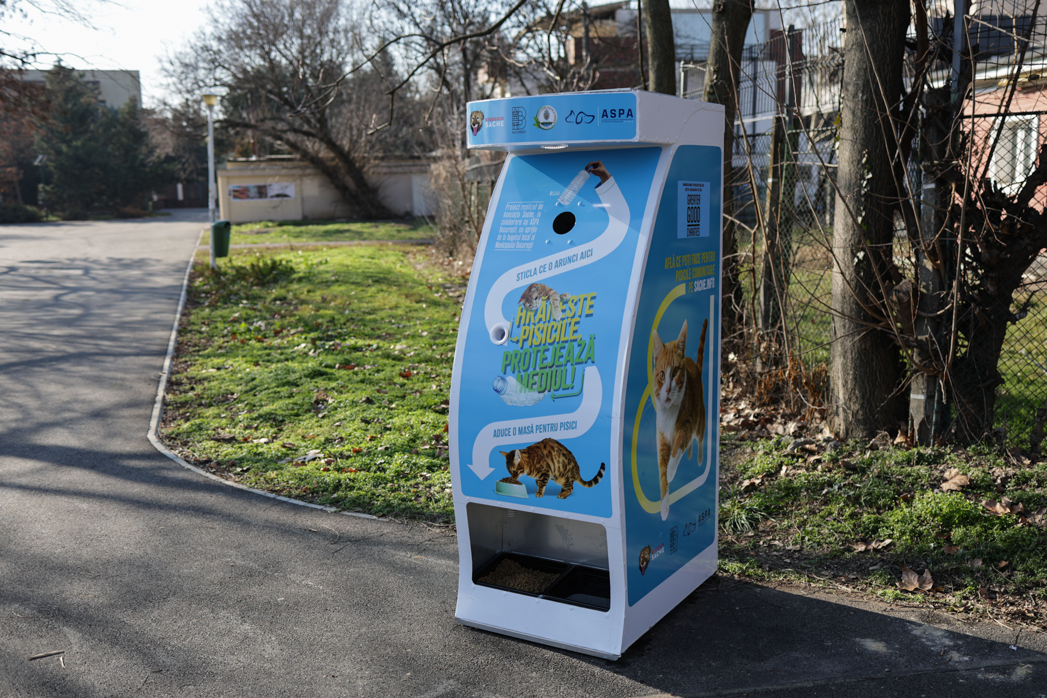 Donezi o sticlă de plastic și hrănești gratuit pisicile din parcul Tineretului din București. A fost montat primul dispozitiv inteligent pentru animăluțe