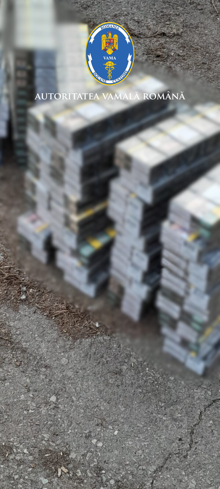 Un șofer de TIR din Turcia a încercat să intre în România cu 106 pistoale
