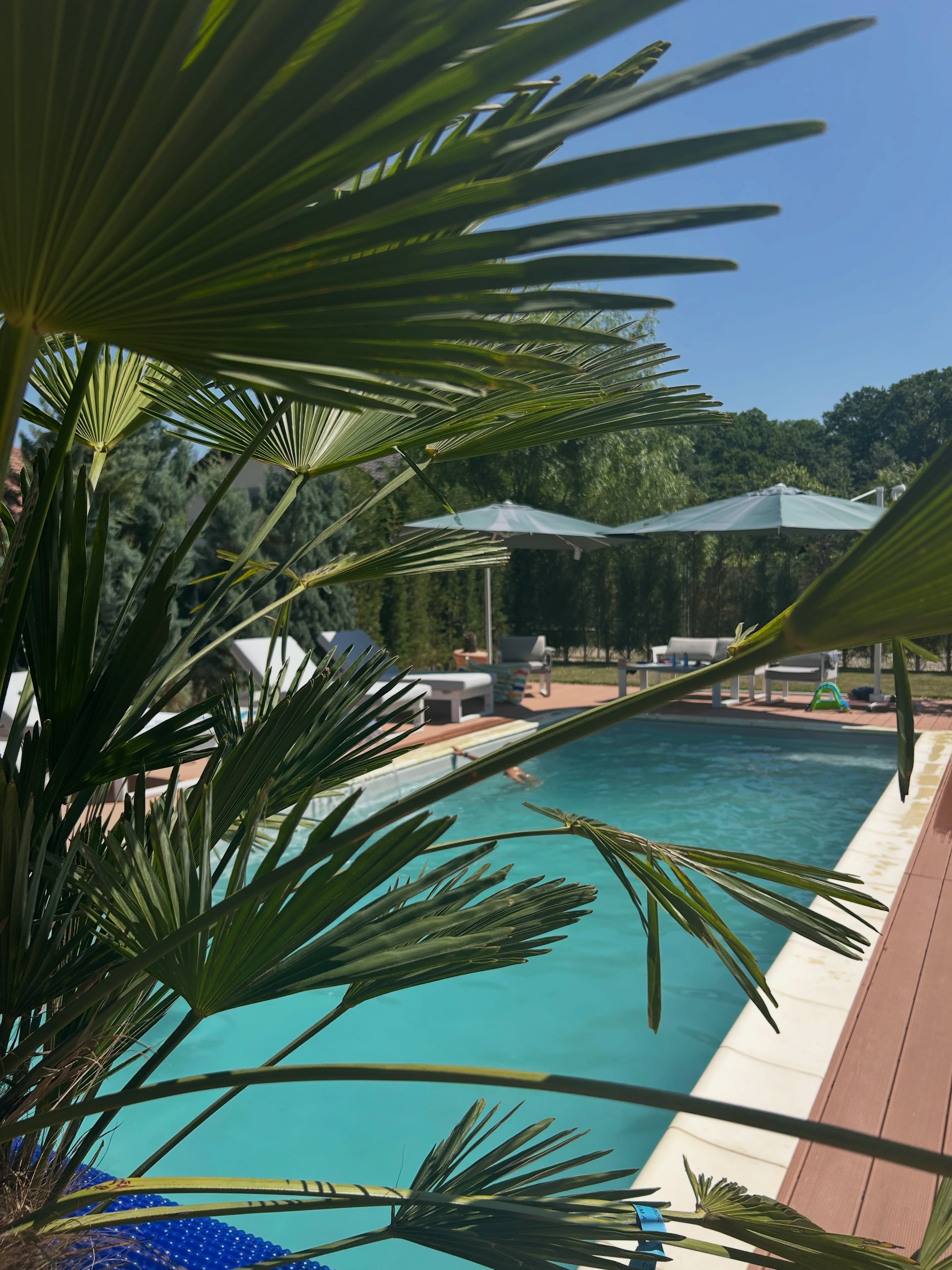 Imagini din curtea Mirelei Vaida. Cum arată piscina de 30.000 de euro: „Mi s-a părut un preț corect”
