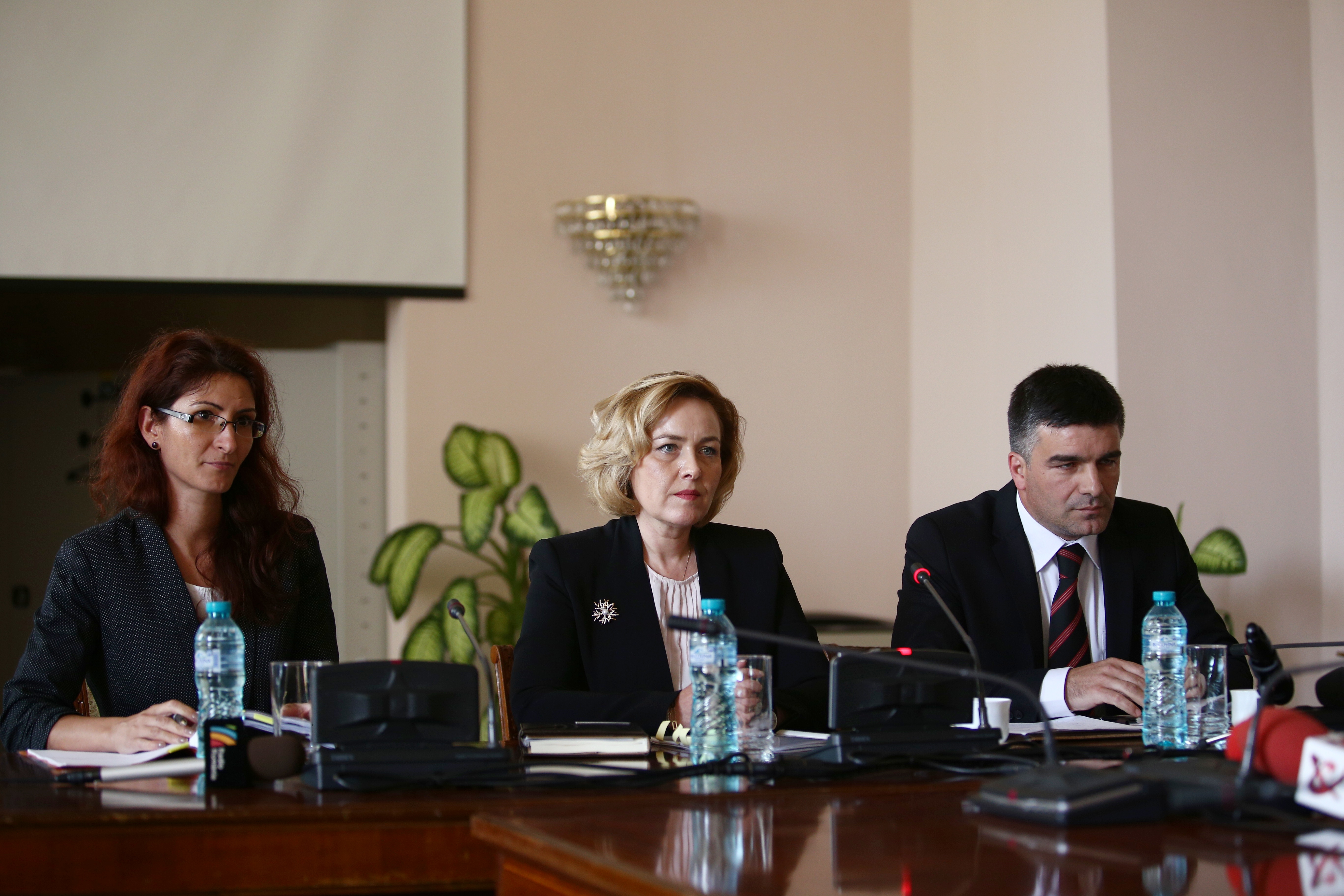 UPDATE. Carmen Dan, audiată în Comisia de apărare din Senat: ”Politica penală a ultimilor ani a fost aceea de a se sancționa cu oarecare blândețe violența”
