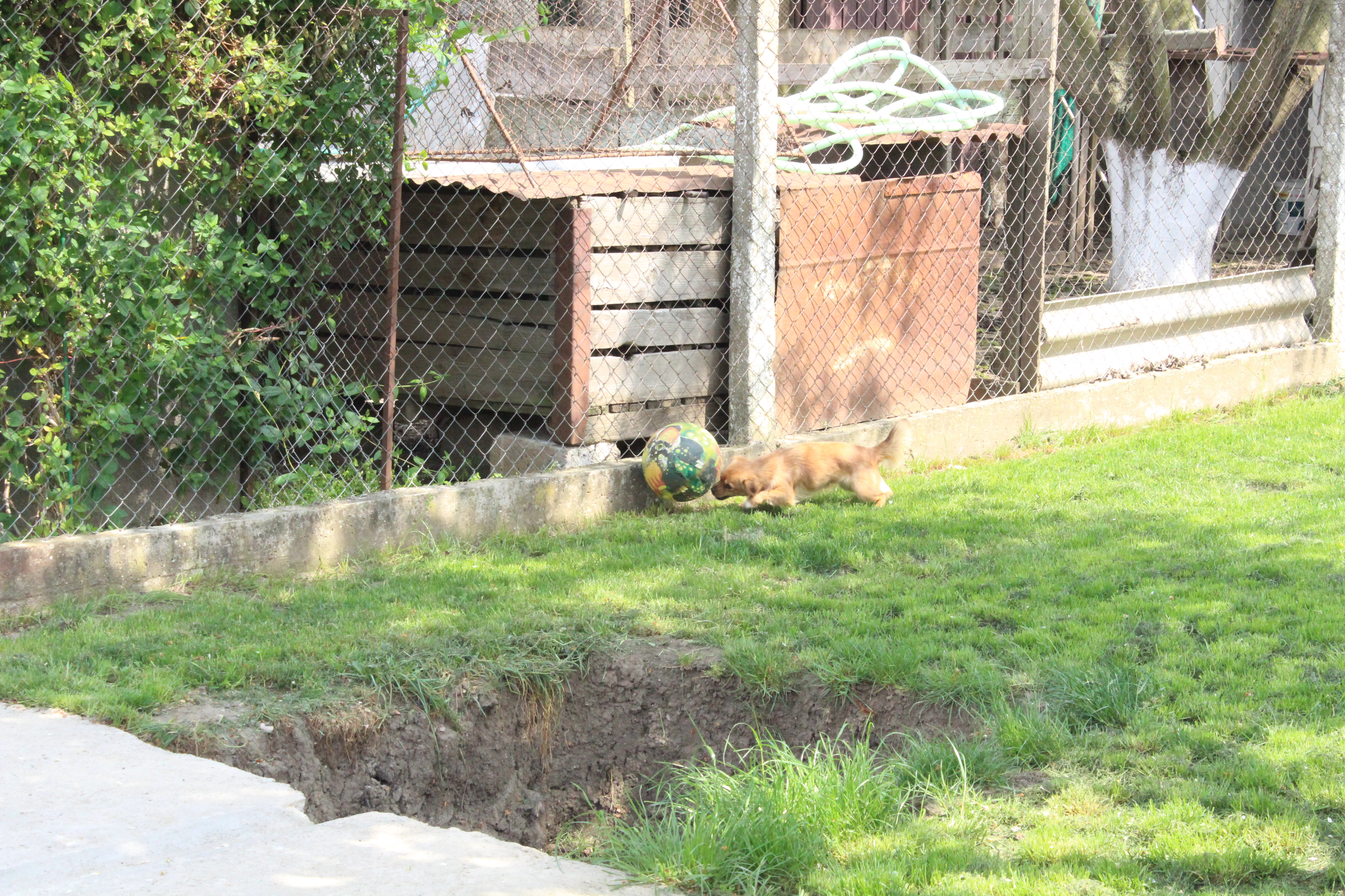 Mama lui Duckadam dezvăluie: ”Vindeam porci, ca să-i putem cumpăra de încălțat lui Helmuth!” / FOTO