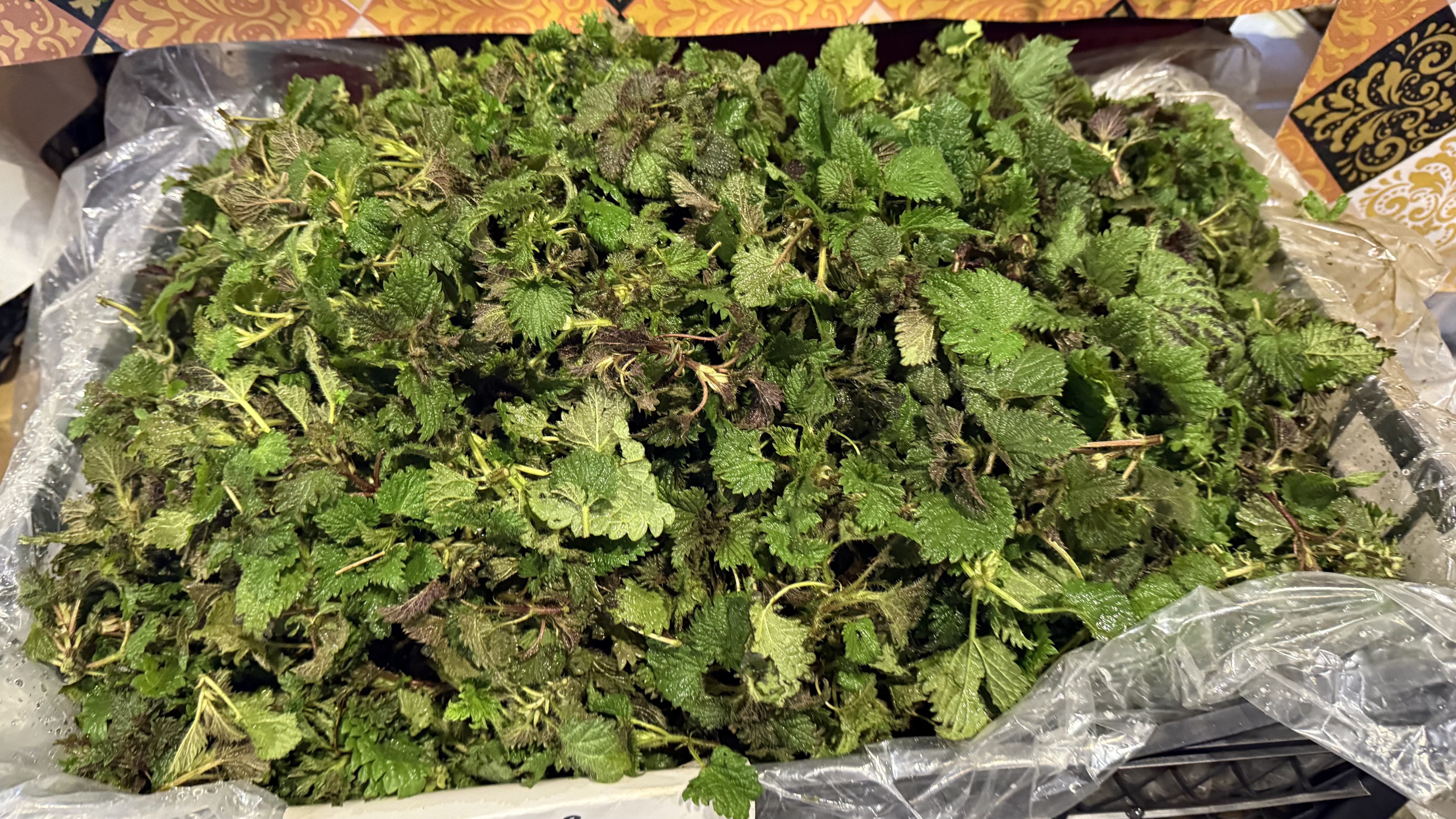 Urzicile au ajuns să bată carnea de vită: prețuri de lux în piețele din București pentru legumele de primăvară