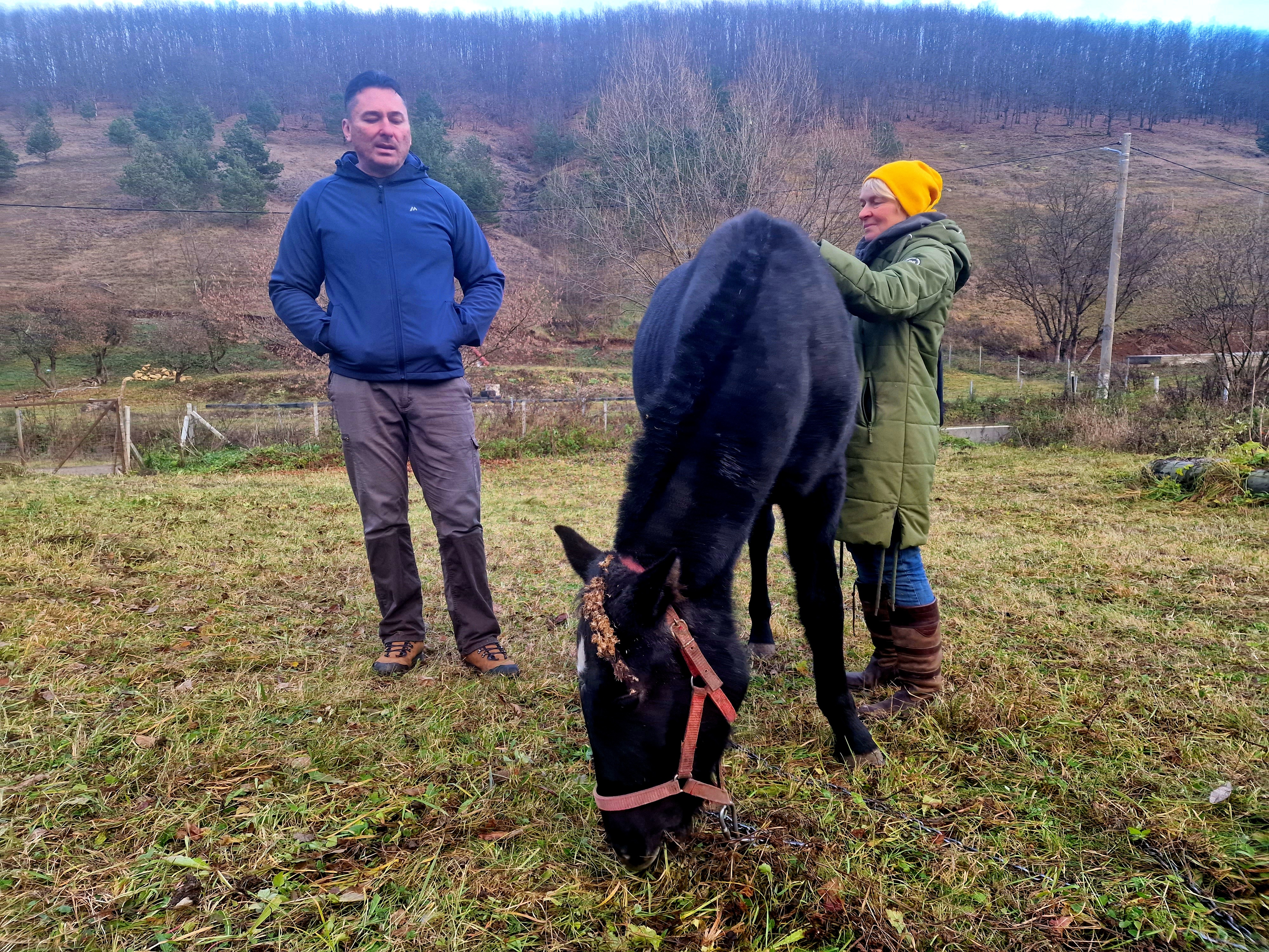 REPORTAJ. Problemele unui antreprenor întors acasă: „Cei de la ISU m-au întrebat: «Dar plan de evacuare cădere meteoriți aveţi?» Glumeau sau nu?”