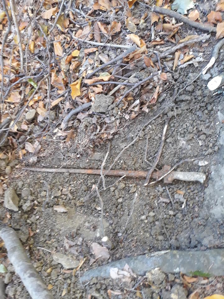 Ce au găsit doi căutători de vestigii istorice într-o pădure din Vrancea. Au anunțat imediat Poliția