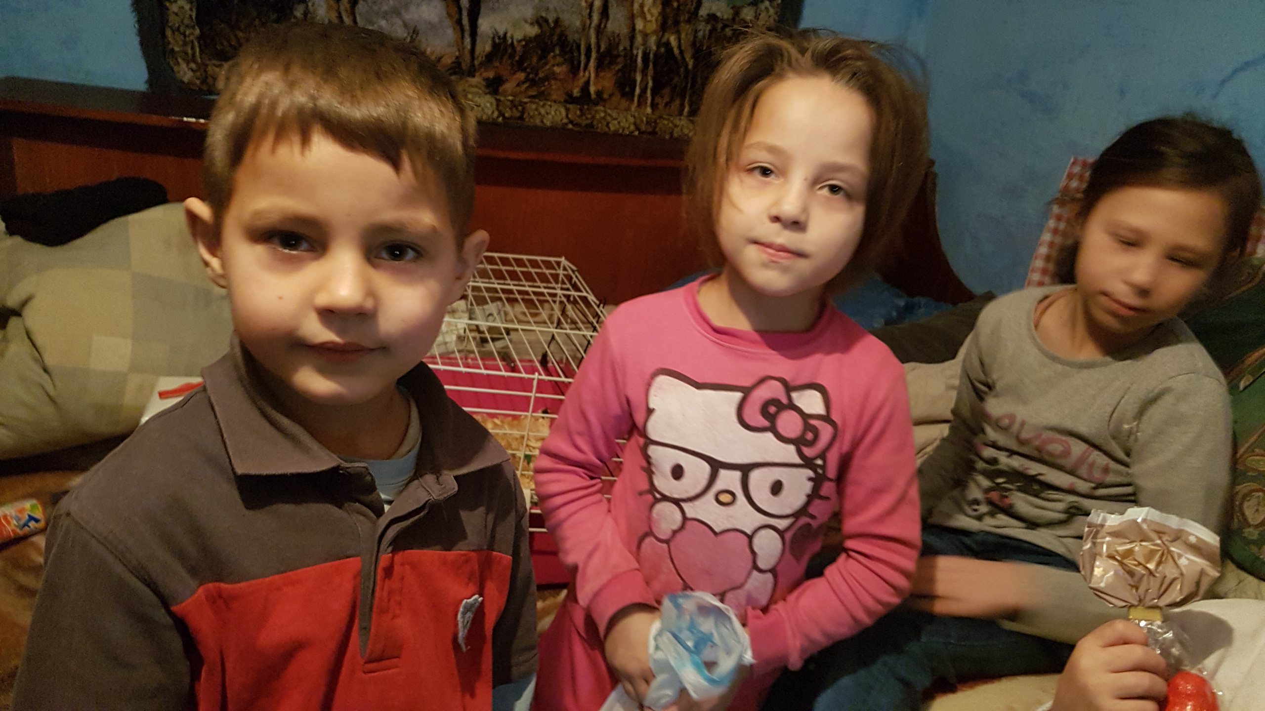 Reacția unor copii sărmani care au primit cadou un porcușor de Guineea: ”Wow, un iepure!”