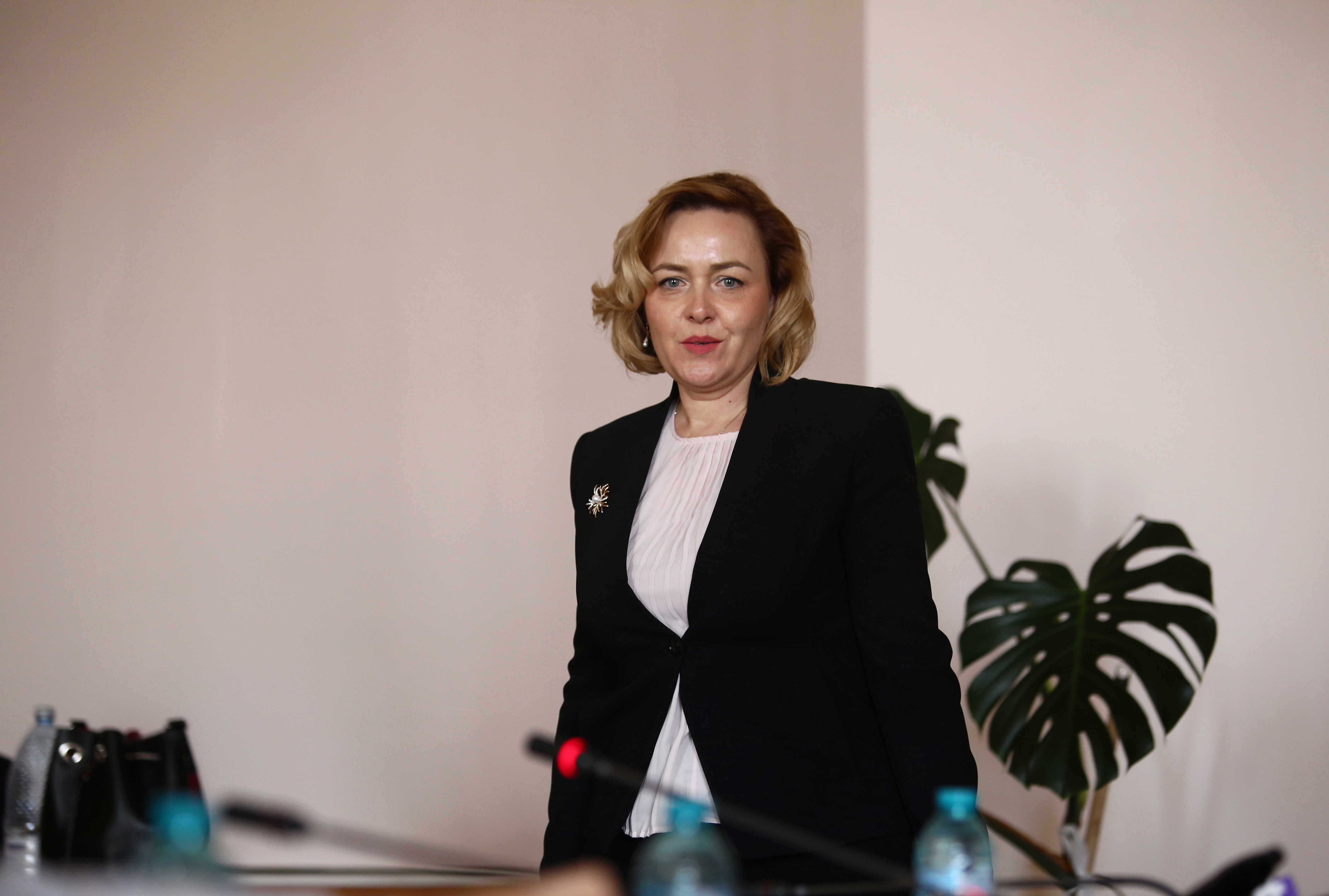 UPDATE. Carmen Dan, audiată în Comisia de apărare din Senat: ”Politica penală a ultimilor ani a fost aceea de a se sancționa cu oarecare blândețe violența”