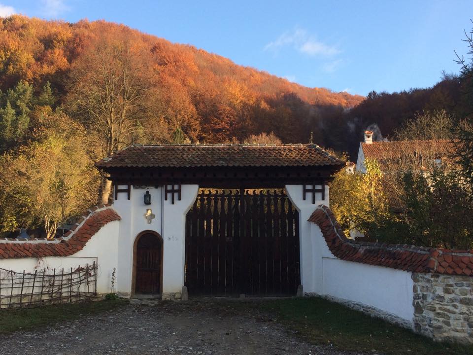 The New York Times a vizitat înainte de încoronare casa din Transilvania a regelui Charles, una dintre cele 56 de cabane, 12 case și 7 palate pe care acesta le deține
