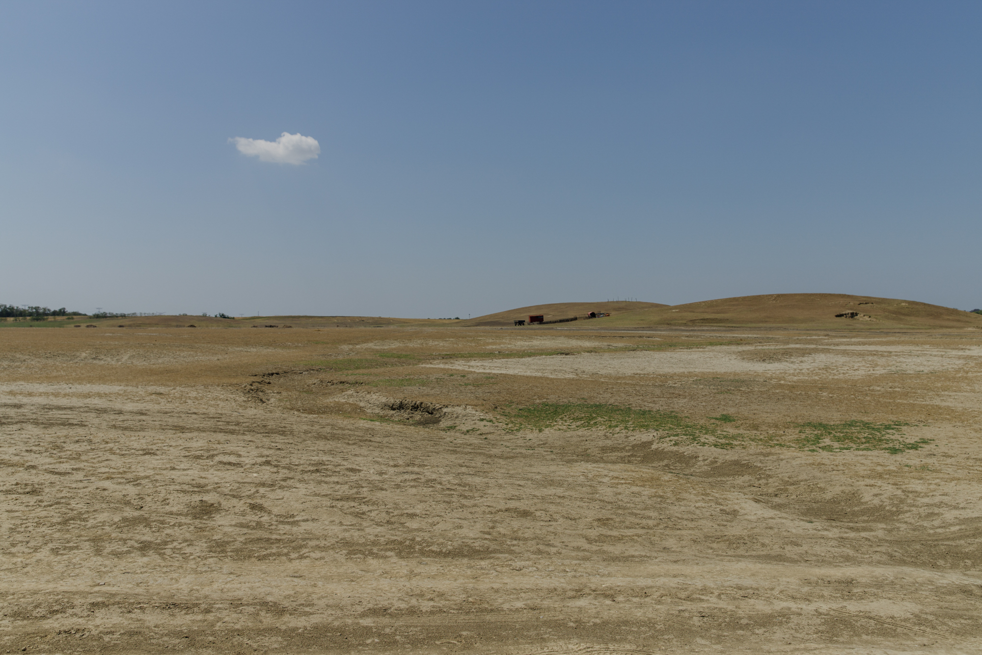 FOTOREPORTAJ Cum arată seceta într-o comună cu finanţări de jumătate de milion de euro pentru agricultori: după subvenţii, deşertul