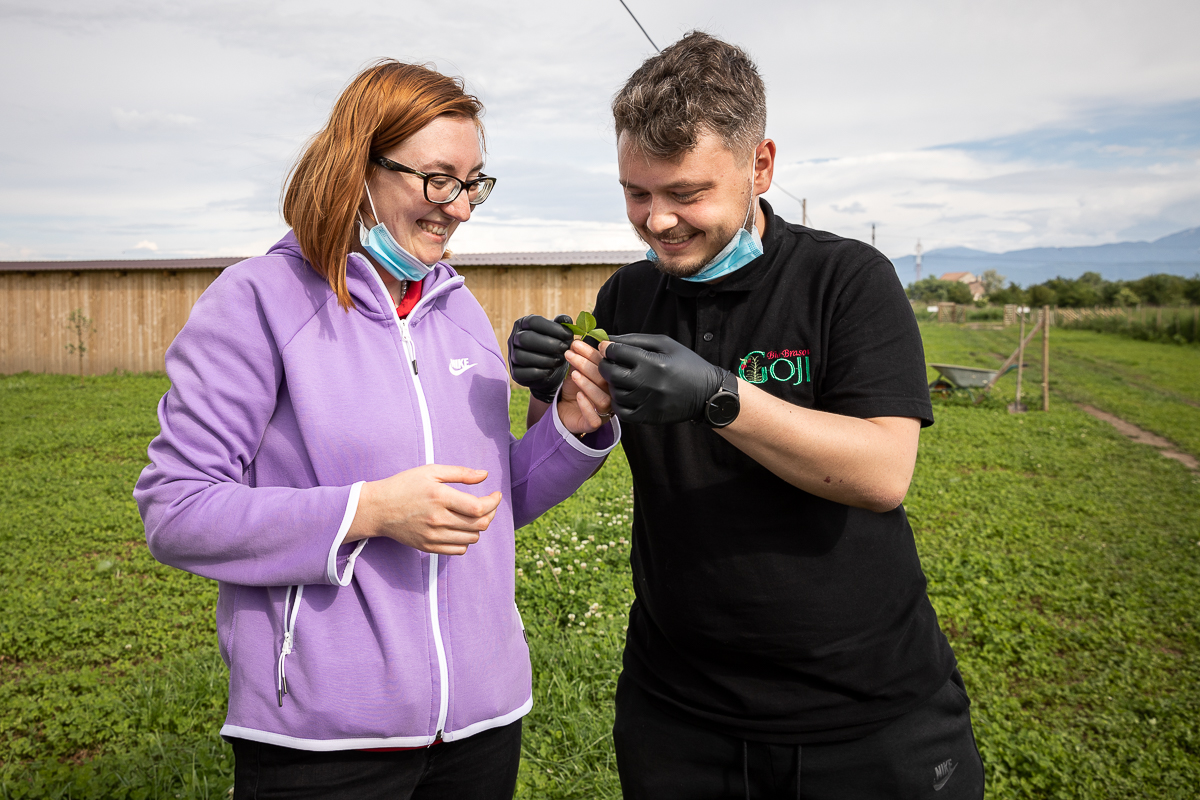 Ce i-a determinat pe doi tineri să renunțe la avocatură și să se apuce de cultivat goji: “Vin italienii, nemţii şi fac proiecte frumoase în agricultură. Românii de ce nu fac?”